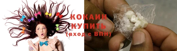 соль ск Нея