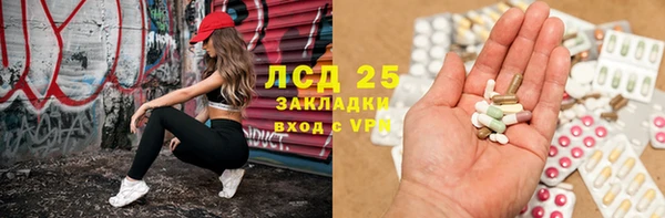 PSILOCYBIN Нефтегорск
