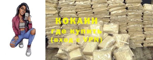 PSILOCYBIN Нефтегорск