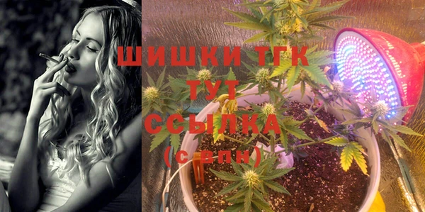 соль ск Нея