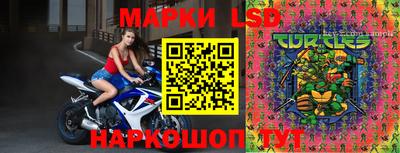 шишки Балашиха