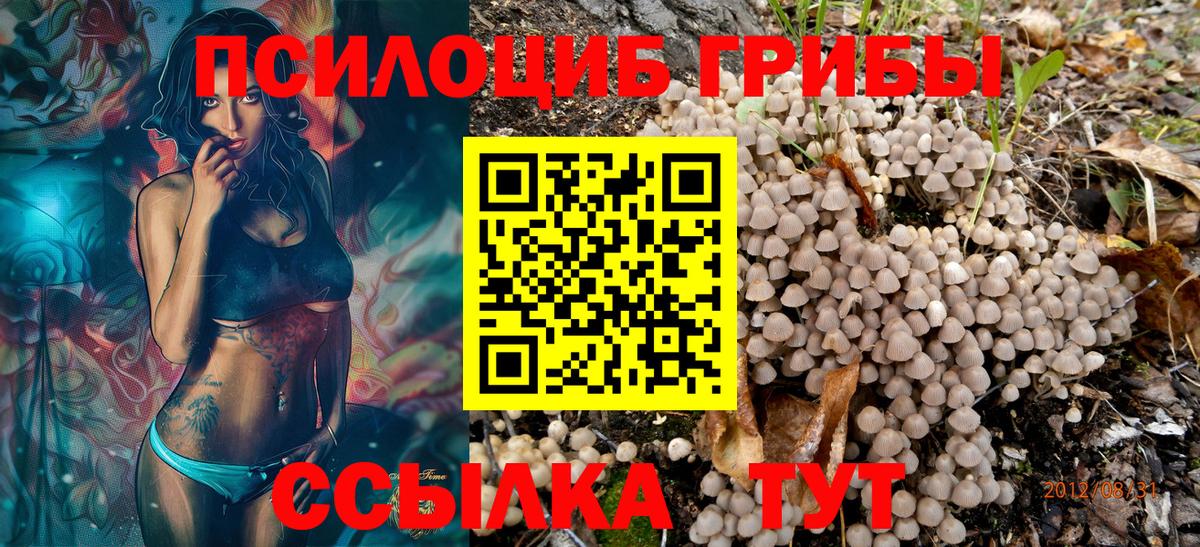 Галлюциногенные грибы MAGIC MUSHROOMS  Вход с VPN  Мытищи  Псилоцибиновые грибы GOLDEN TEACHER 